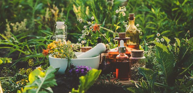 Fitoterapia e Omeopatia